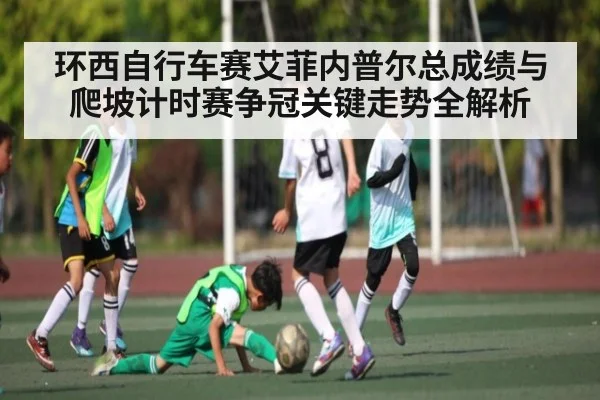 环西自行车赛艾菲内普尔总成绩与爬坡计时赛争冠关键走势全解析